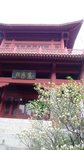 P1100568