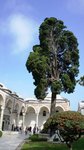 DSC01653