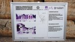 DSC00591