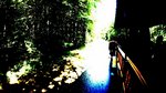 DSC03831