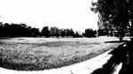 DSC03845