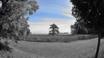 DSC03859