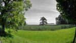 DSC03862