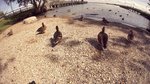 DSC03869
