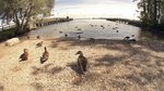 DSC03870