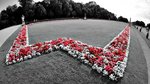 DSC04601