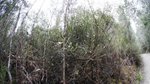 DSC05335