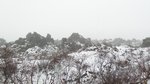 20141102_140314