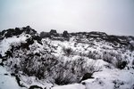 DSC05954