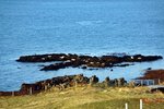 DSC06089