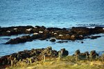 DSC06090