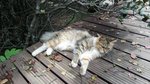 20140720_140557