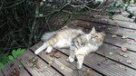 20140720_140559