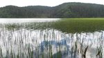 20140720_141253