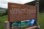 DSC04541