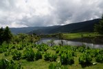DSC04545