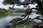 DSC04600