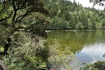 DSC04601