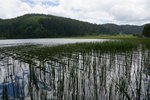 DSC04639