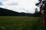 DSC04646