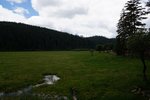 DSC04649