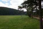 DSC04650