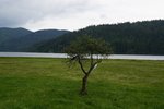 DSC04654