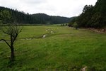DSC04656