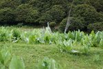 DSC04661