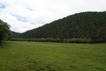 DSC04663