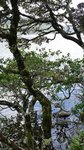DSC05315