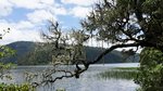 DSC05324