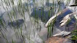 DSC05352