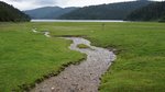 DSC05356