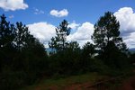 DSC05109