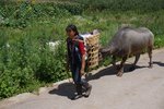 DSC05116