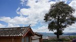 DSC06434