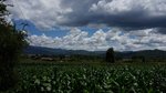 DSC06443