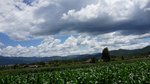 DSC06444