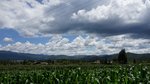DSC06445