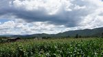 DSC06446