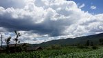 DSC06448