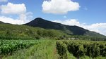 DSC06450