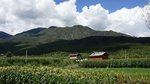 DSC06456
