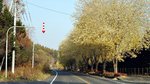 20151026_144829
