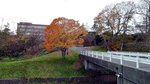 20151027_143706