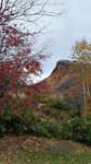 20151027_145259