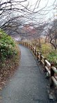 20151027_150325