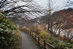 DSC07738