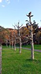 20151028_143359